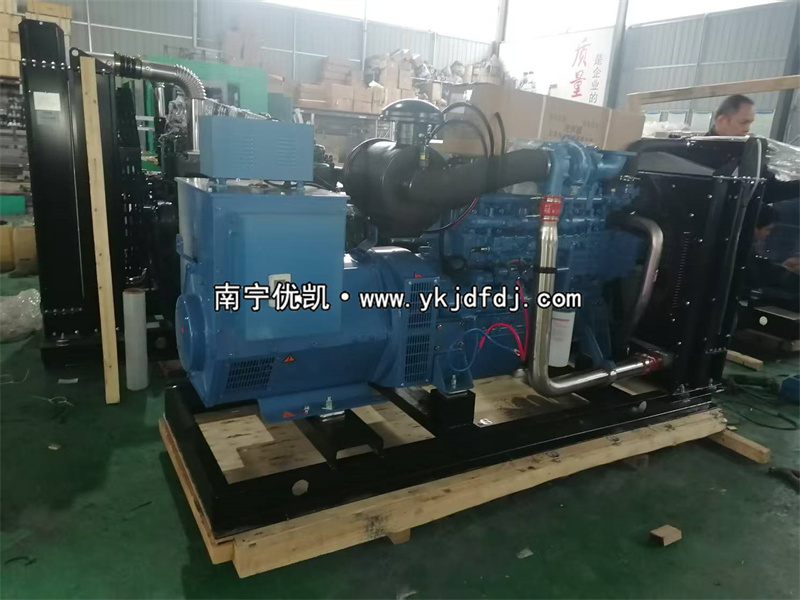 2025年2月20日，國外項目兩臺150KW玉柴柴油發電機組裝車出口